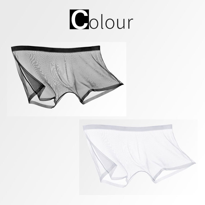 🔥HOT SALE🔥 Ice Silk Sexy Mesh Sheer Boxer Briefs