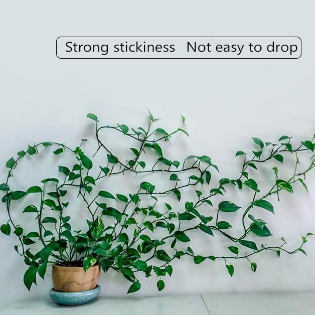 Plant Climbing Wall Clip Self-Adhesive Hook