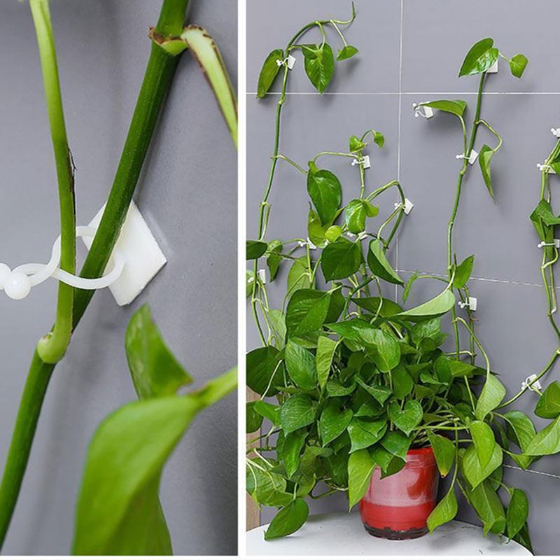 Plant Climbing Wall Clip Self-Adhesive Hook