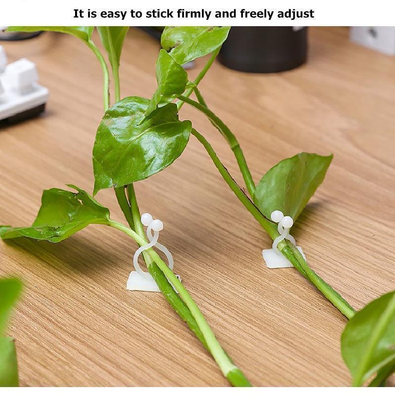 Plant Climbing Wall Clip Self-Adhesive Hook